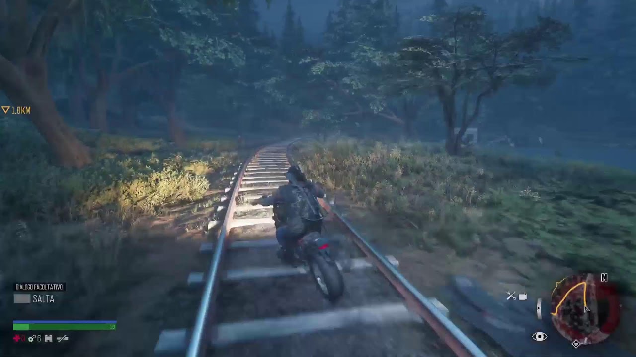 Days Gone