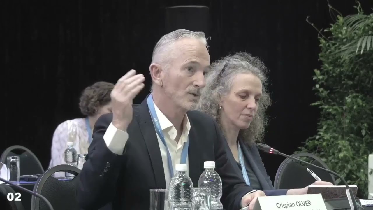 Just Transitions and Social Investments - Live Stream