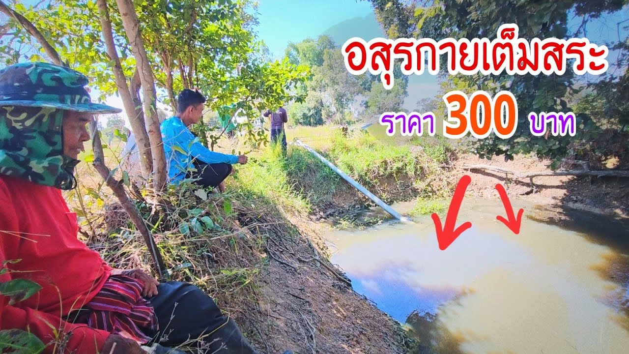 เหมาสระอสุรกายใหญ่ 300฿ มันซุกอยู่ใต้ใบไม้ยิ่งเปิดยิ่งเจอ จะกำไรหรือขาดทุน