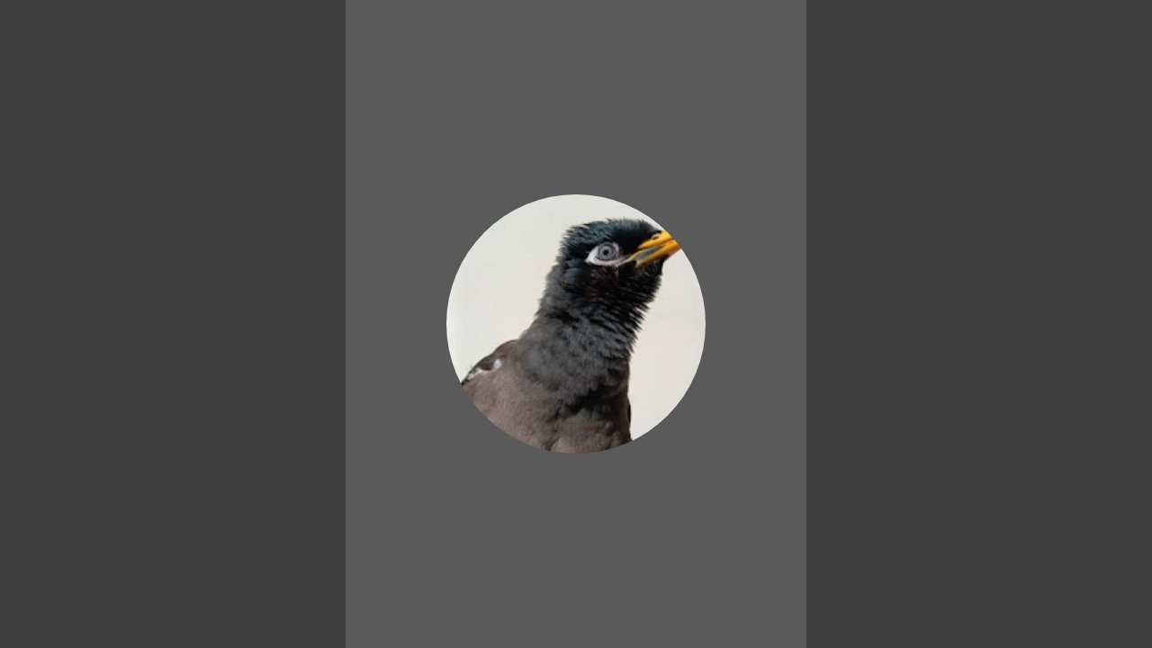 പെട്ടന്ന് varuu🥰🐧🇸🇦