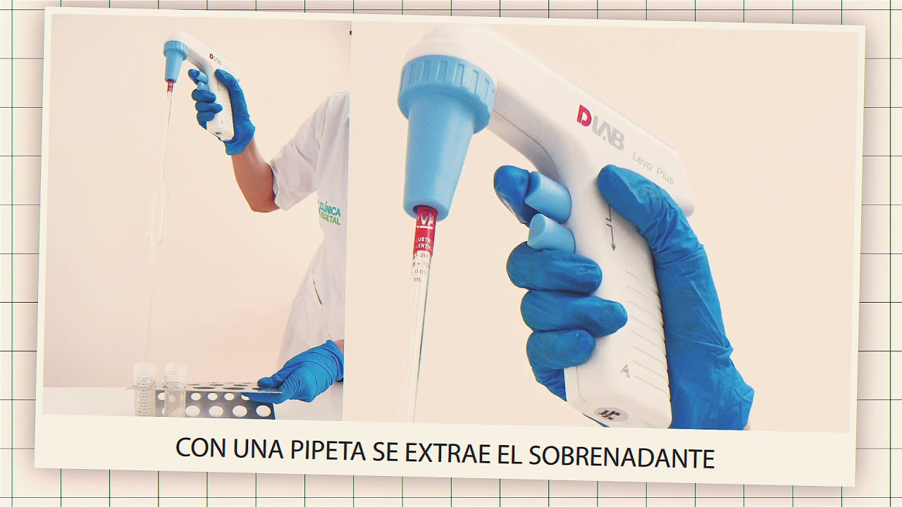 Extracción, identificación y  cuantificación de nematodos del Suelo