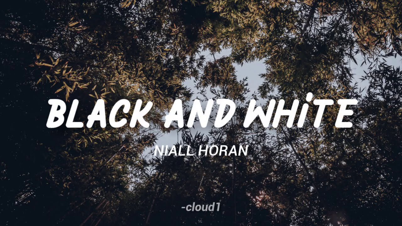 Niall Horan - Black And White ( Stripped / Lyrics )