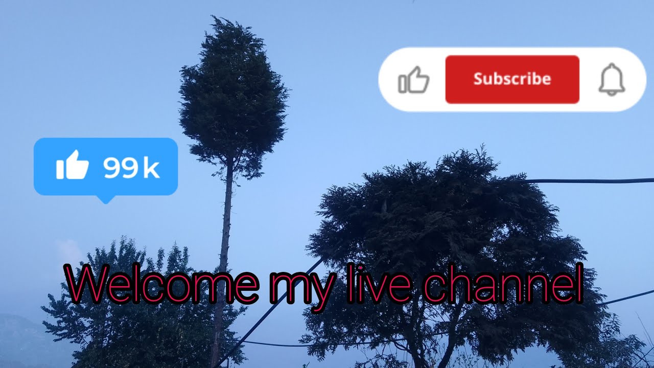 Yogesh is live welcome my live channel 🙏