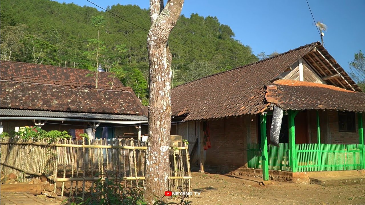 Suasana pedesaan jawa || Pule Trenggalek