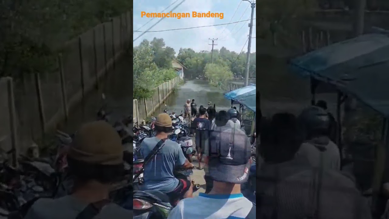 Kamal Muara Pemancingan Bandeng #shorts #fishing #videos