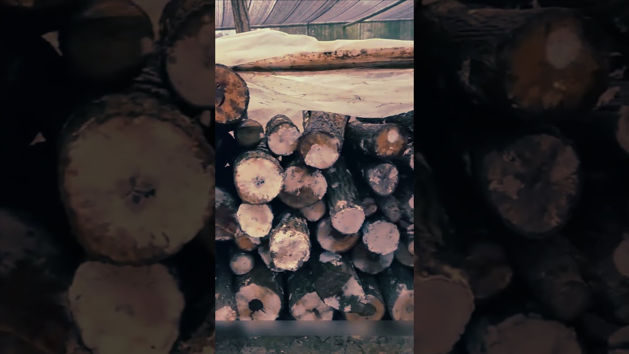 Shiitake Drill Pro: Plant Your Fungi with Precision