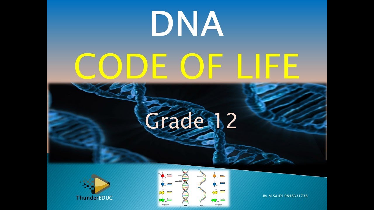 DNA CODE OF LIFE | LIFE SCIENCES GRADE 12| TERM 1, 2025 | M.SAIDI | ThunderEDUC