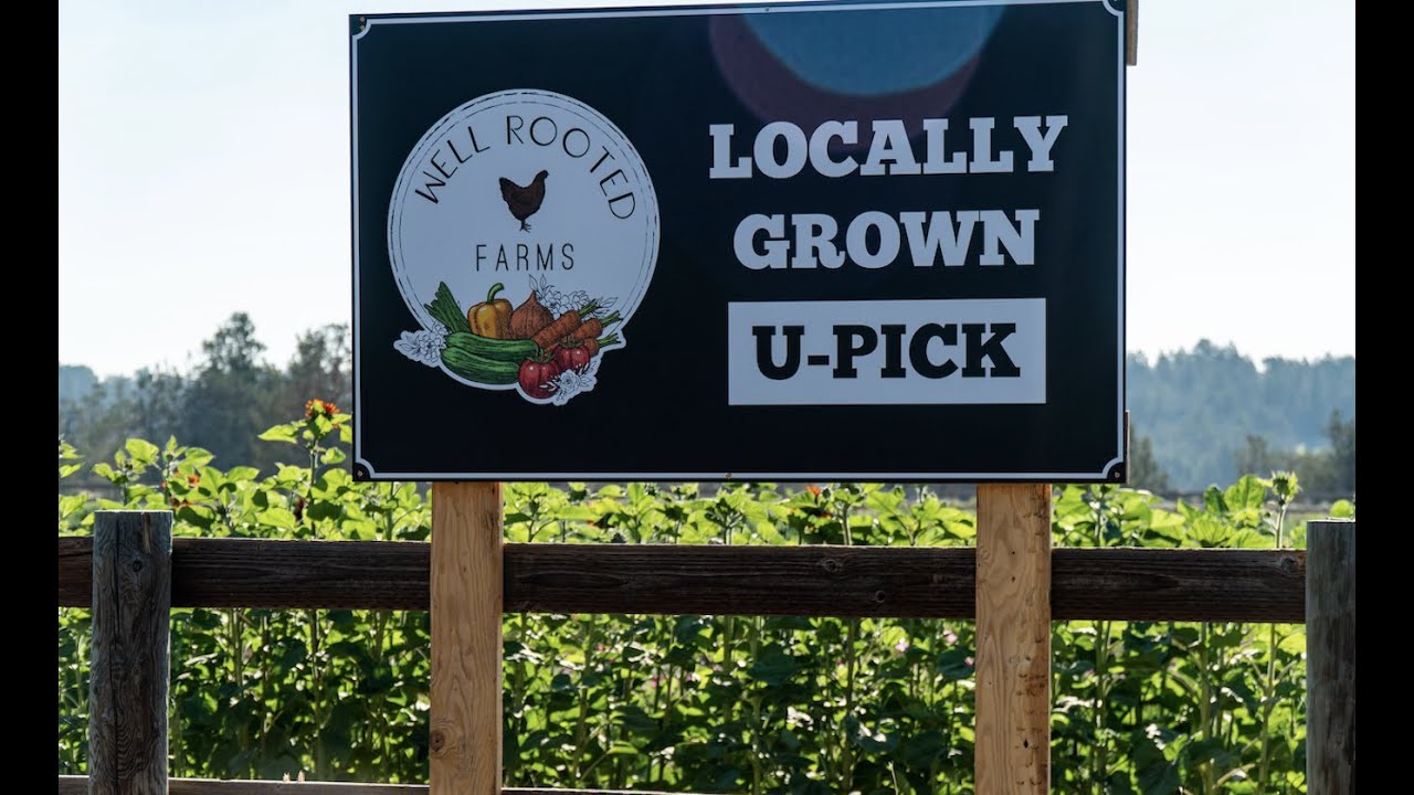 Well Rooted Farm how to grow food in Central Oregon 4K video in Bend