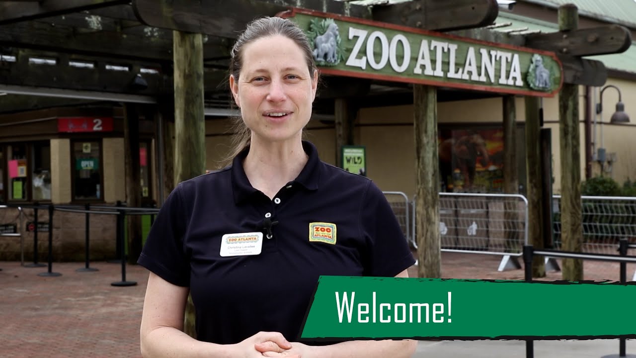Visit the Zoo 2025