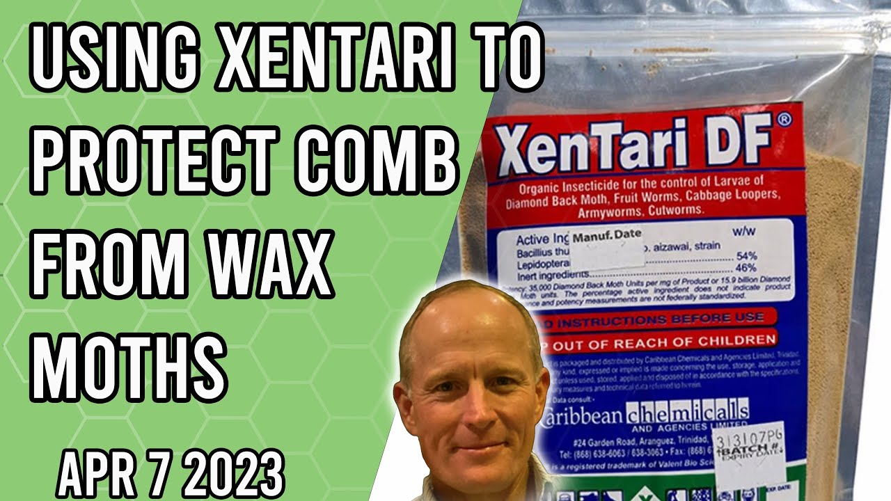 Using Xentari BTA to Protect Comb from Wax Moths - Jacksonville FL Zone 9a