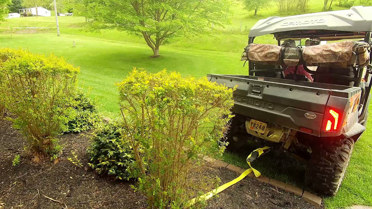 Pulling shrubs with the CFMOTO UFORCE 800 !