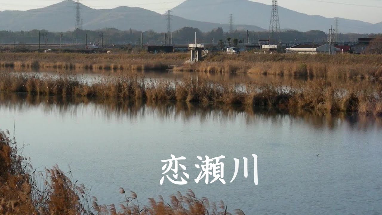 恋瀬川    八代亜紀