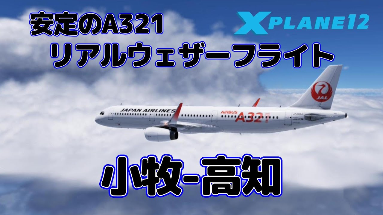 悪天候でも安定のA321 Real Weather Flight 名古屋小牧-高知 RJNA-RJOK