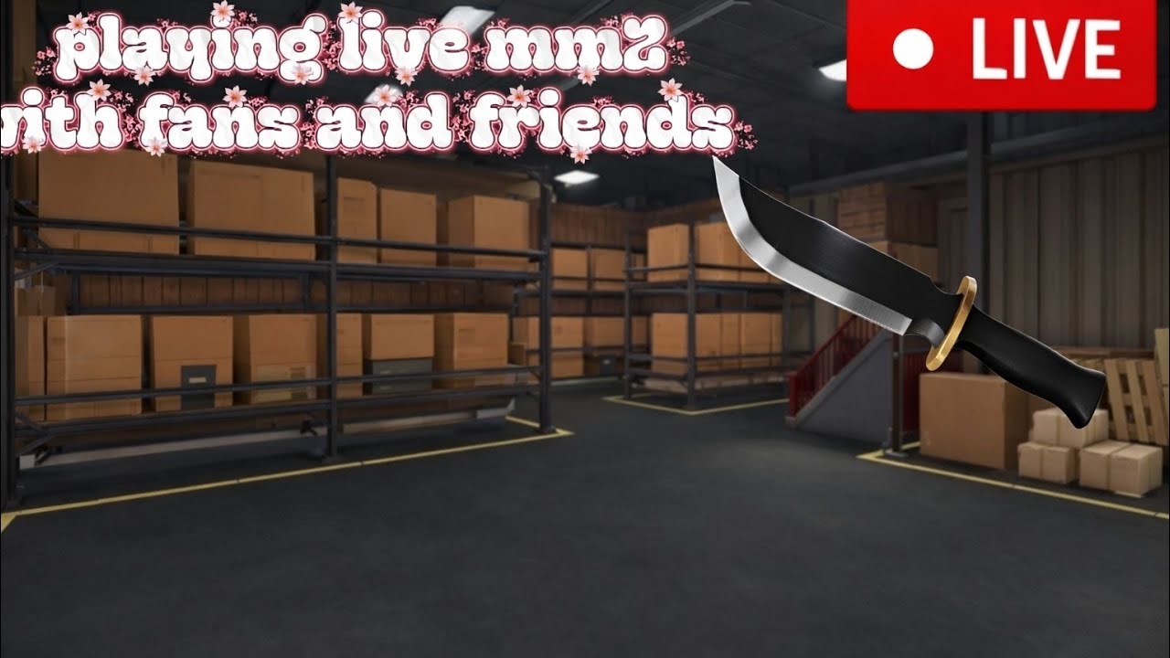 playing mm2  mini games with friends and followers