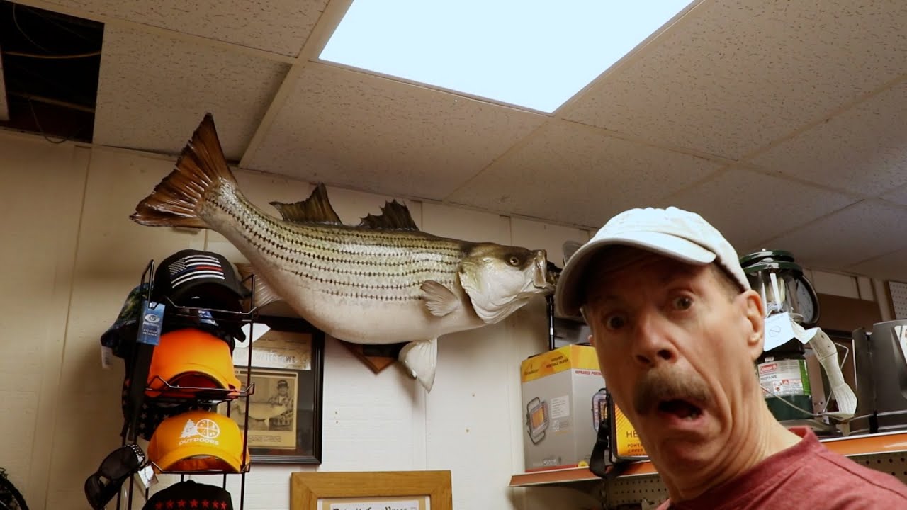 Oscoda | Under the Radar Michigan Full Episode