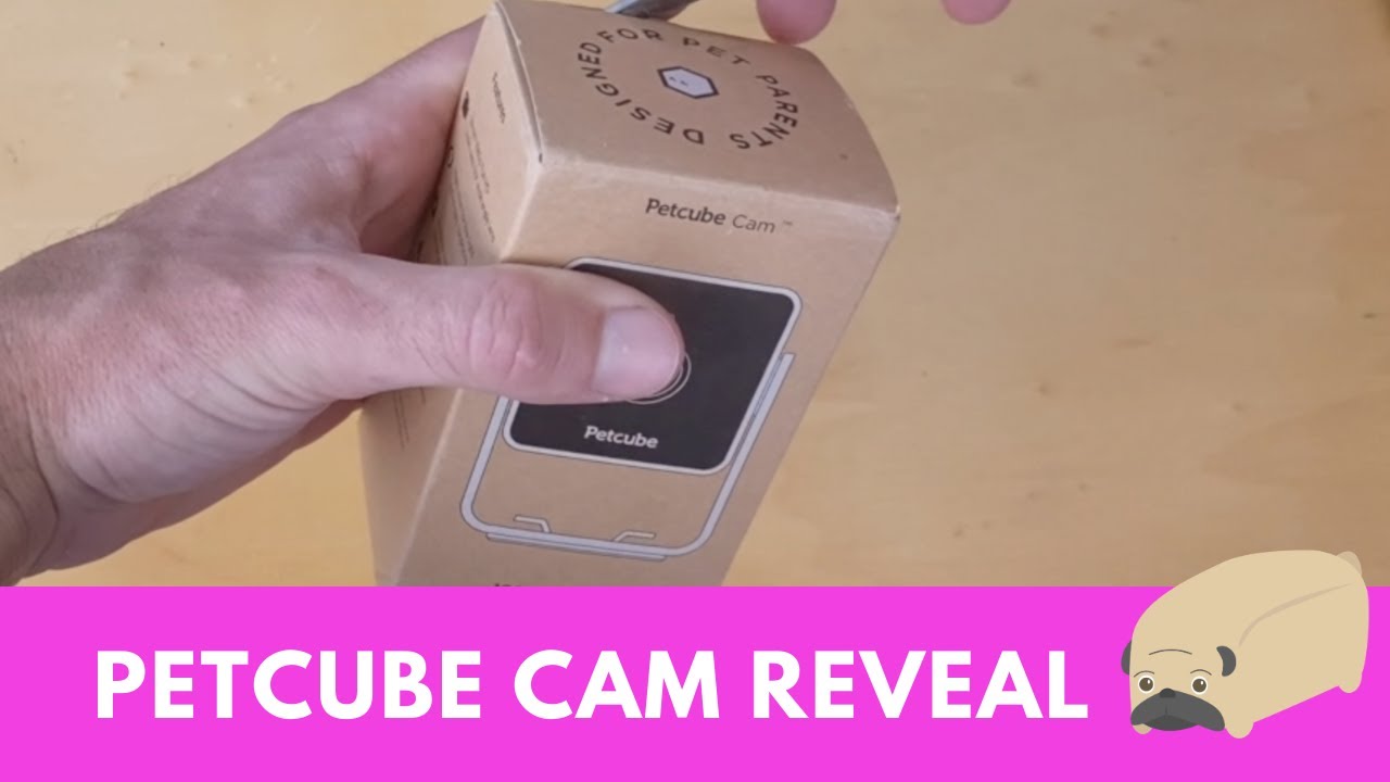 Petcube Cam: First Look and Review