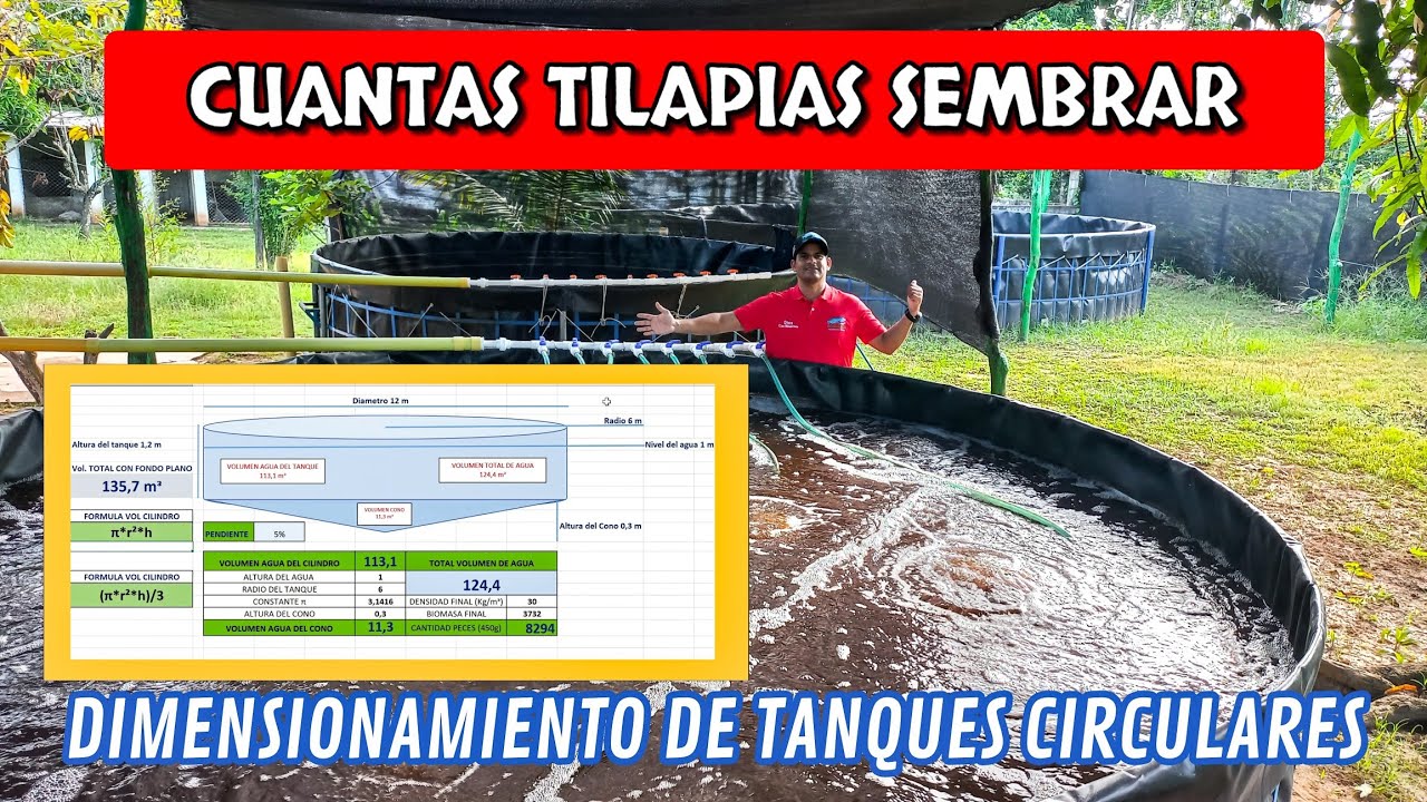 CUANTAS TILAPIAS SEMBRAR🤔❓ Dimensionamiento de TANQUES CIRCULARES🔊🧏‍♂️
