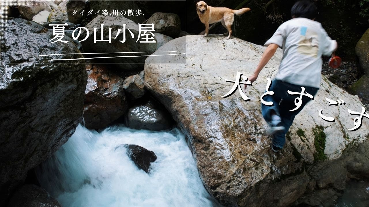 『初夏の山小屋②｜犬と川の散歩、タイダイ染、犬かき、全開。【後編】』#labradorretriever #ラブラドールレトリバー ##大型犬のいる生活 dog #犬