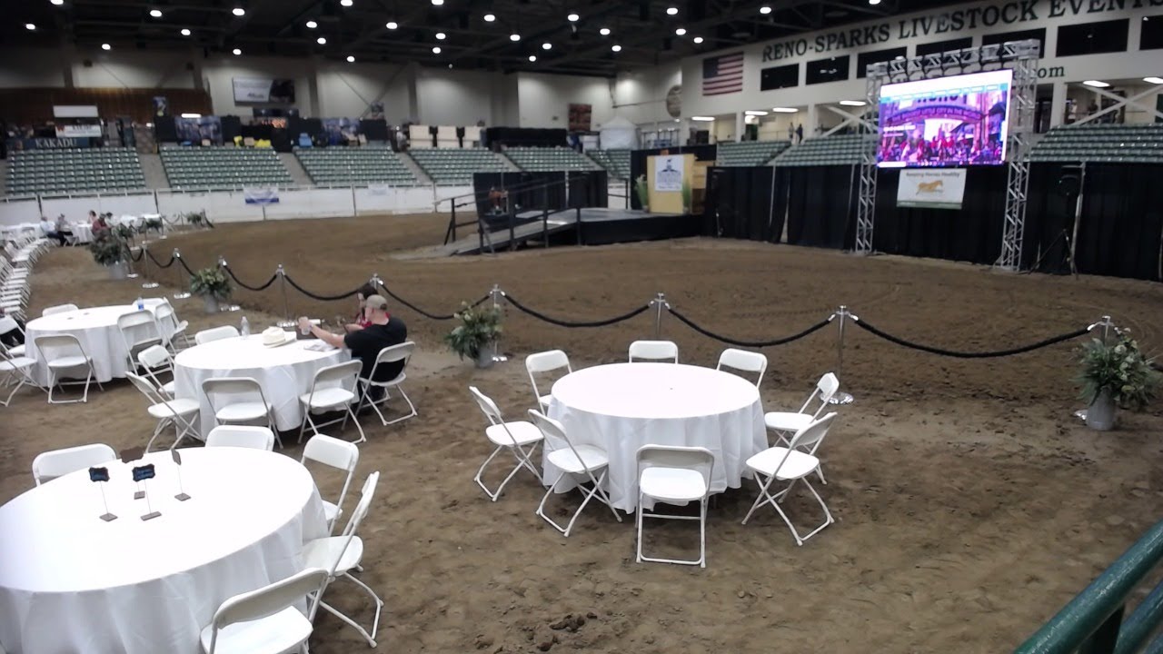 2021 RENO ~ Diamonds in the Desert Premier Horse SALE