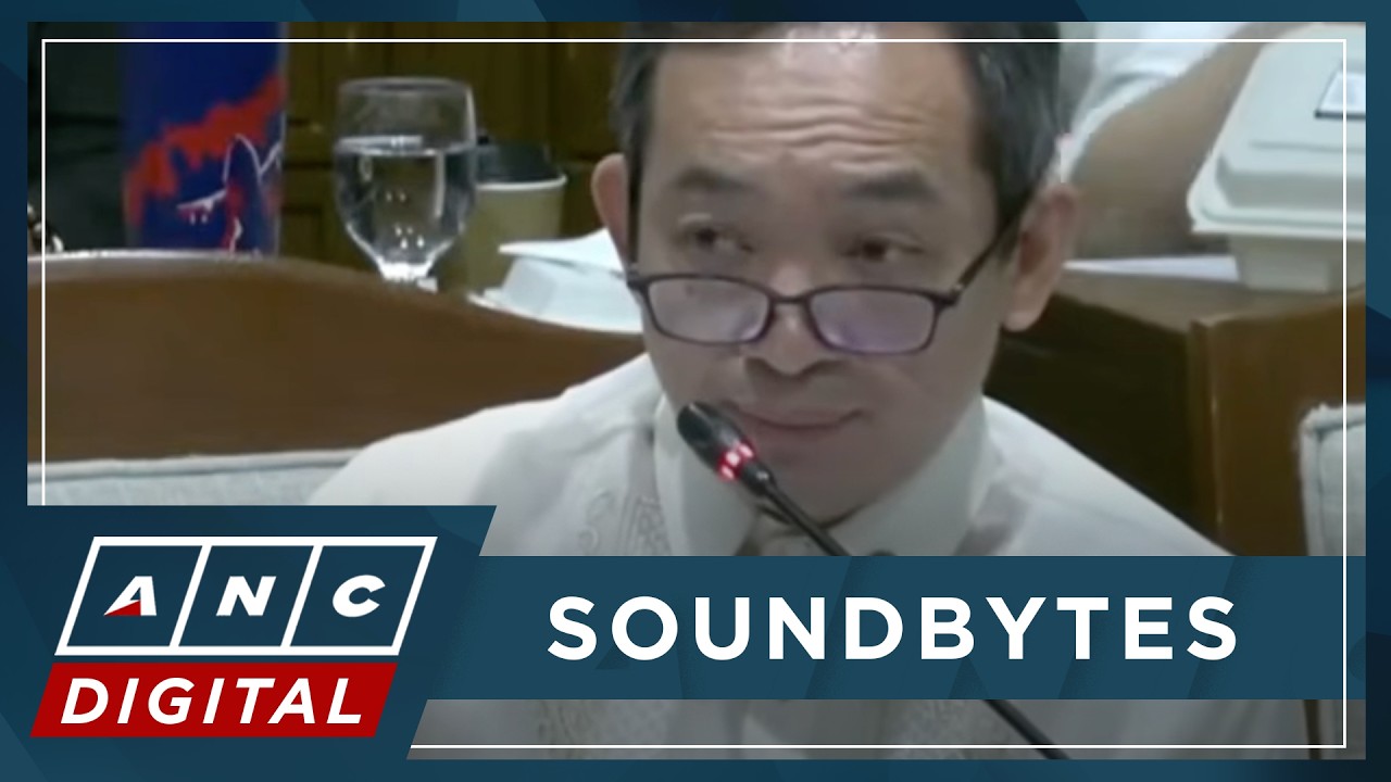 Tinio grills OVP officials on 'You can be VP', 'Libreng Sakay' programs at budget hearing | ANC