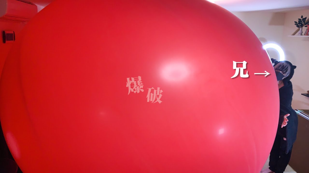 【衝撃】世界一巨大な風船を家のリビングで爆破してみたｗｗｗ【ドッキリ】【Jumbo Balloon】
