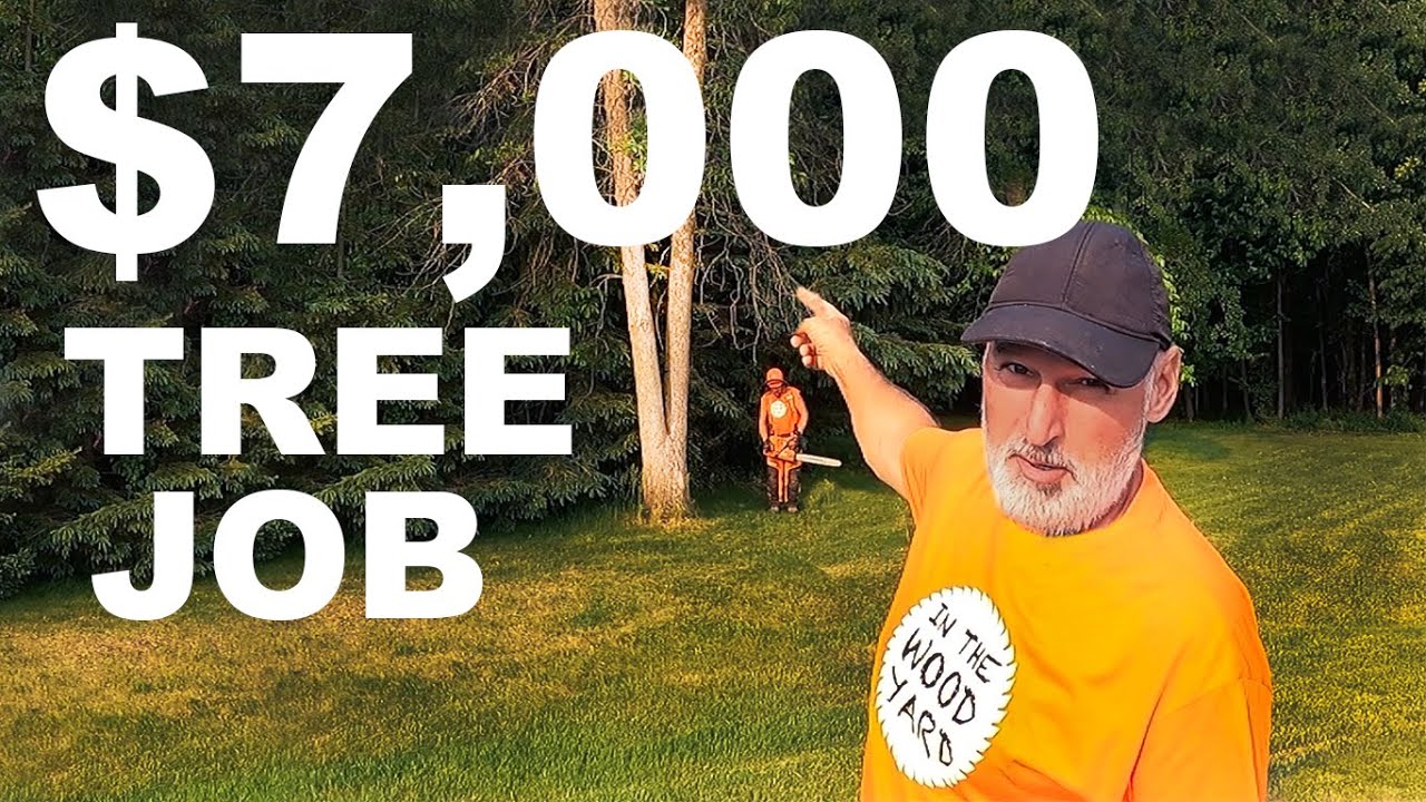 $7,000 TREE REMOVAL JOB!