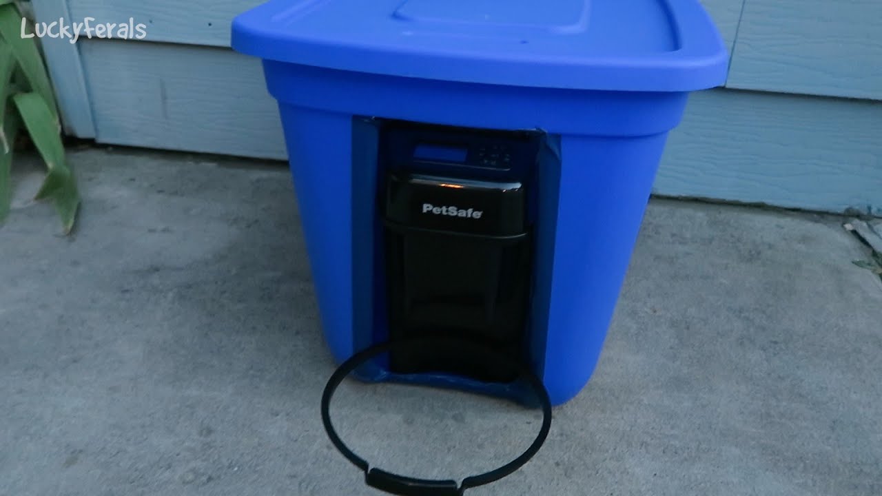 Raccoon Proof Feral Cat Feeder Setup