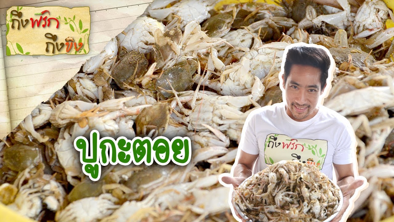 ปูกะตอย | ถึงพริกถึงขิง 06-03-63