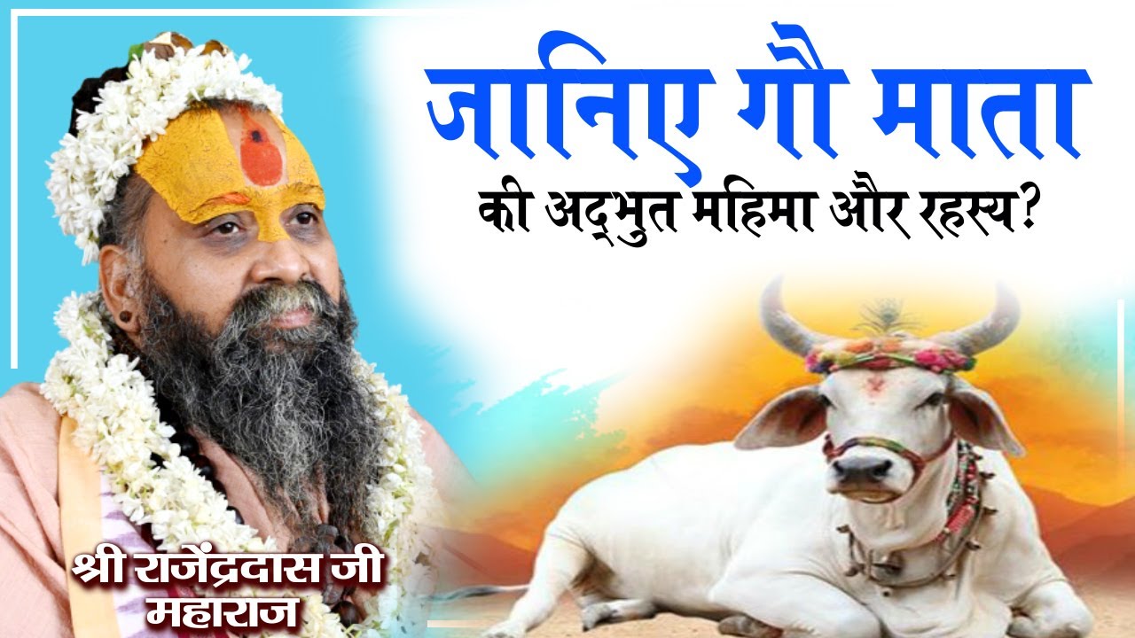 जानिए गौ माता की अद्भुत महिमा और रहस्य? श्री राजेंद्रदास जी महाराज | Sadhna TV