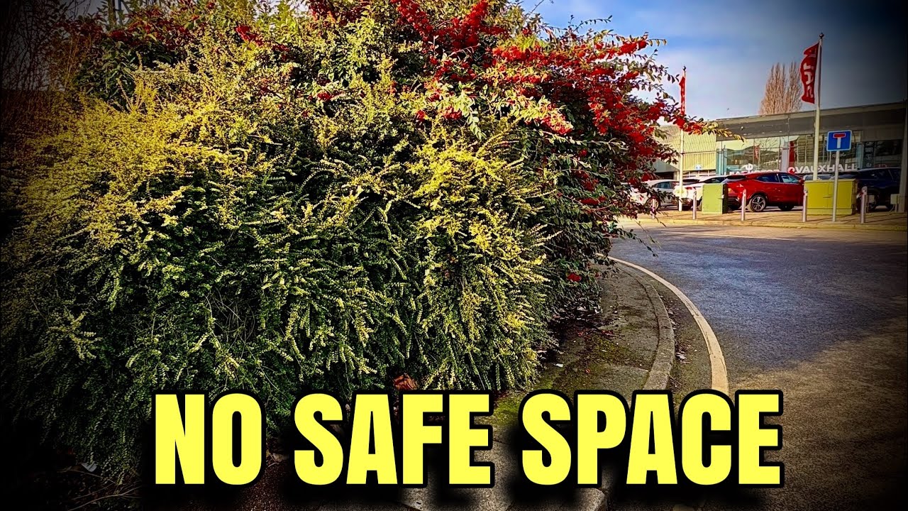 Hedge Encroachment STOPPED Before Someone Got Hit