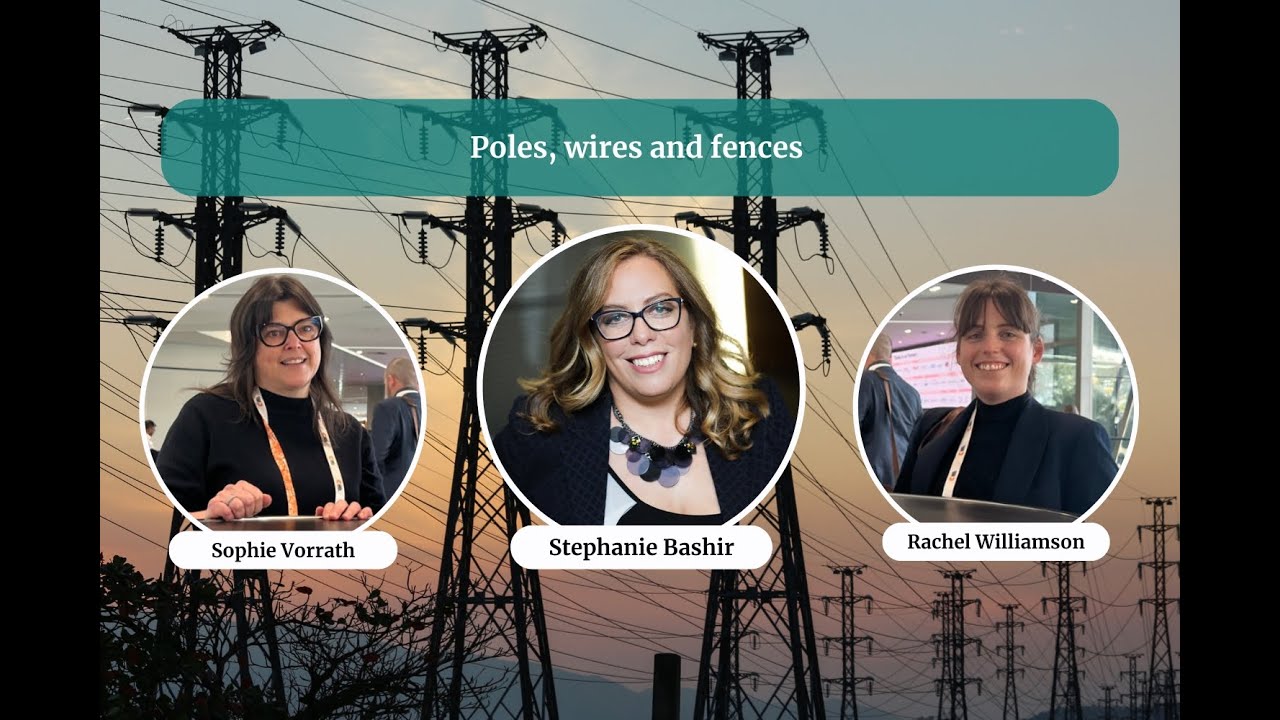 Poles, wires and fences | Solar Insiders