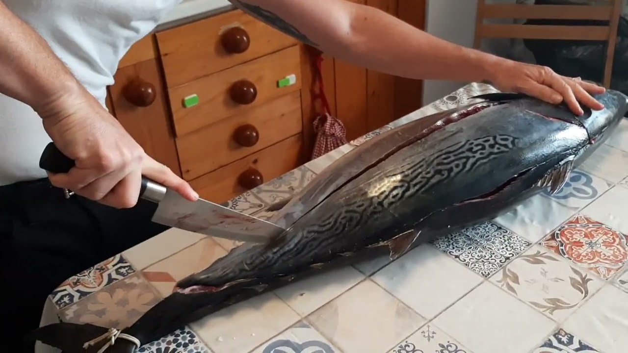 Taglio del tonno, sfilettamento dal vivo.. Vi piace il Sushi di Maguro?