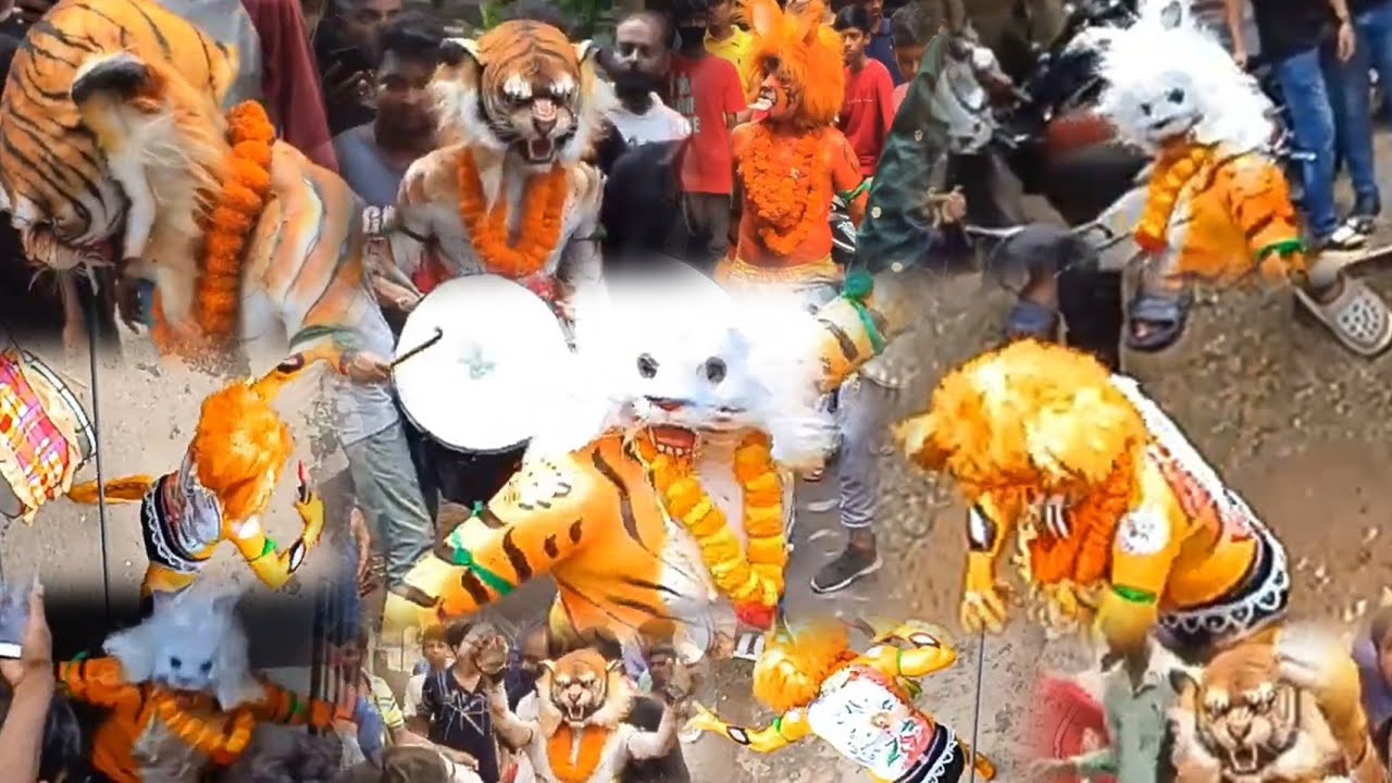Bagh Dance Jamshedpur Compilation