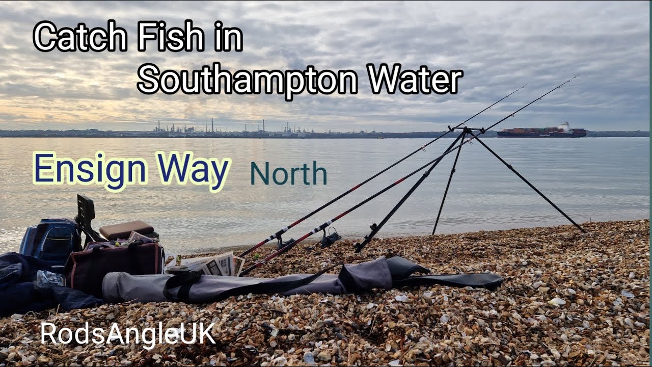 Catch Fish in Southampton Water: ENSIGN WAY North