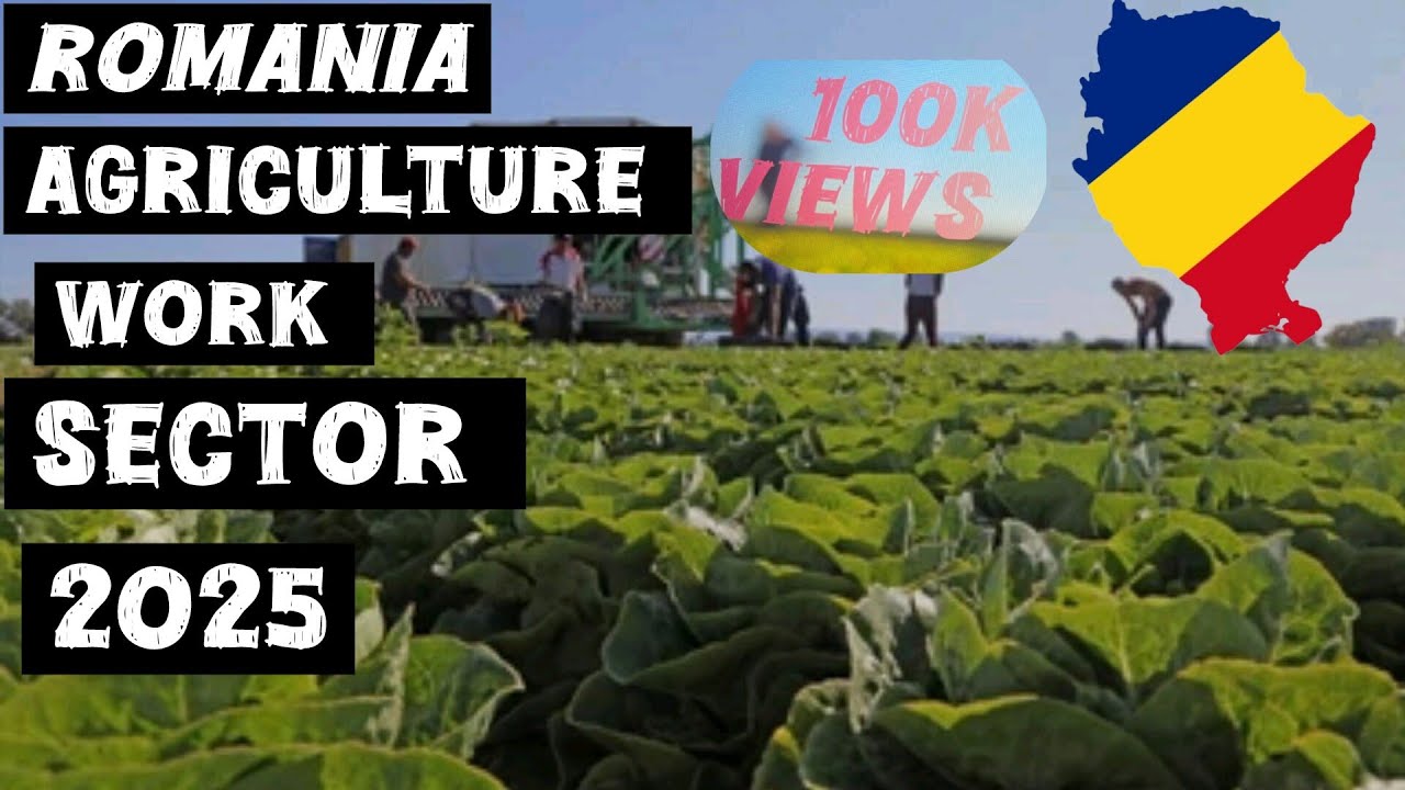 Romania agriculture work sector 2025?
