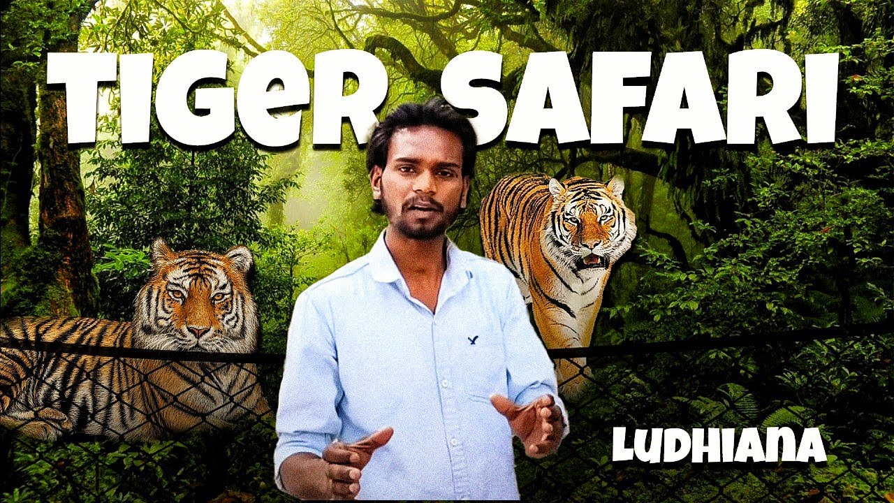 Me at the zoo | tiger safari a full day tour | Sahil Koli