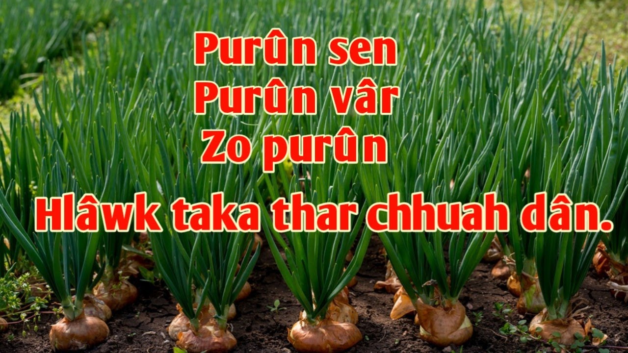 Purunsen leh vâr leh Zo purun chîn hlâwk dan țha.