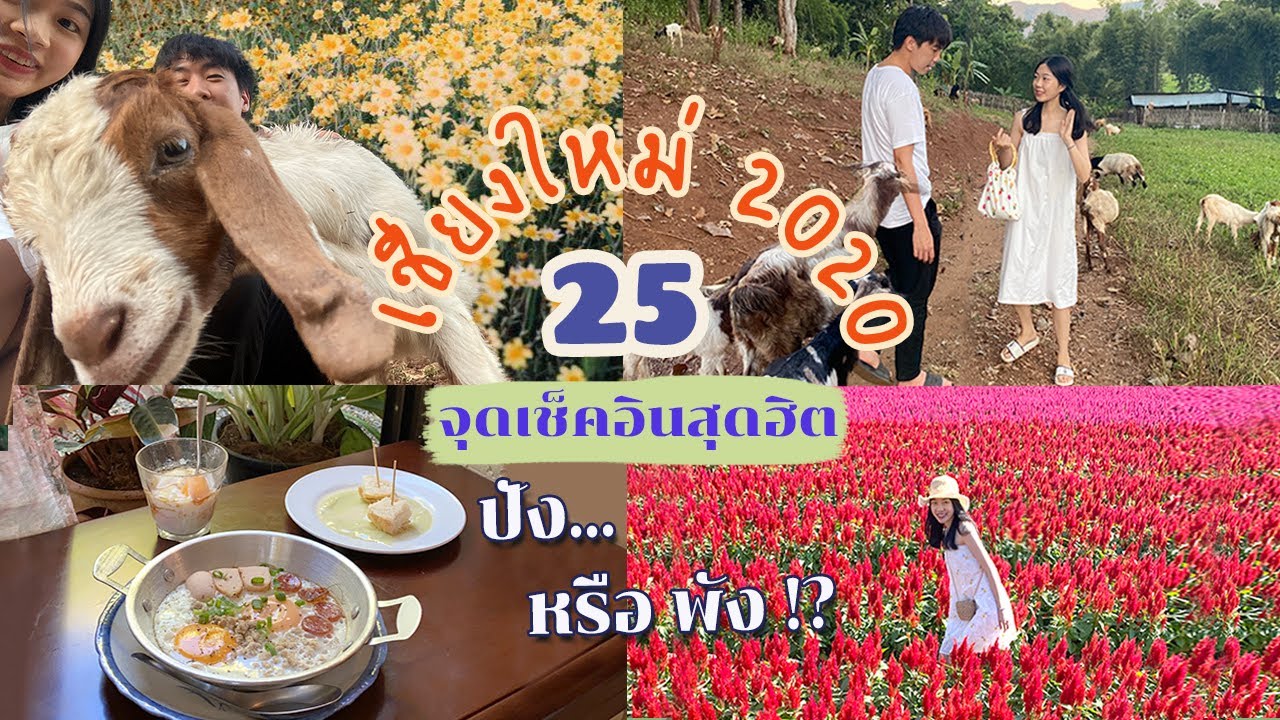 เชียงใหม่ 2020 | เปิดวาร์ป 25 จุดเช็คอินสุดฮิต + ตะลุยมิชลิน ดีจริงมั้ย? รีวิวตามใจพิม