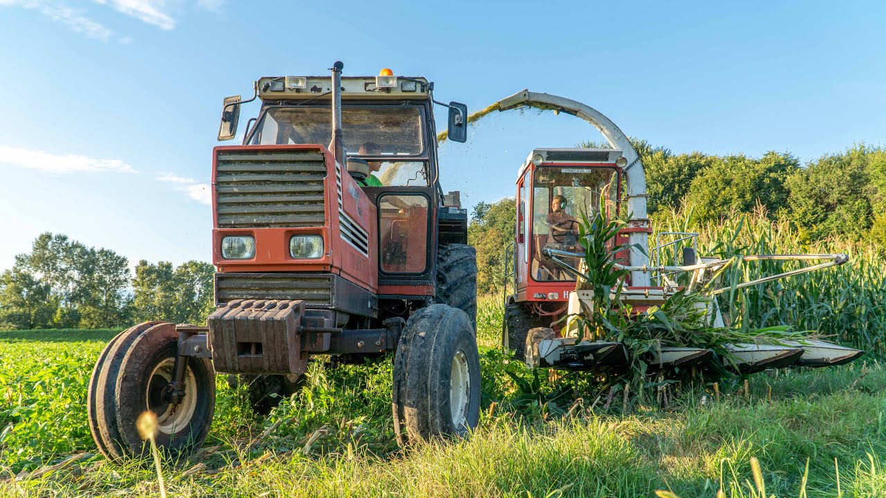 TRINCIATO ALL'ITALIANA | Hesston 7650 и Fiatagri 180-90 Толкающий силос