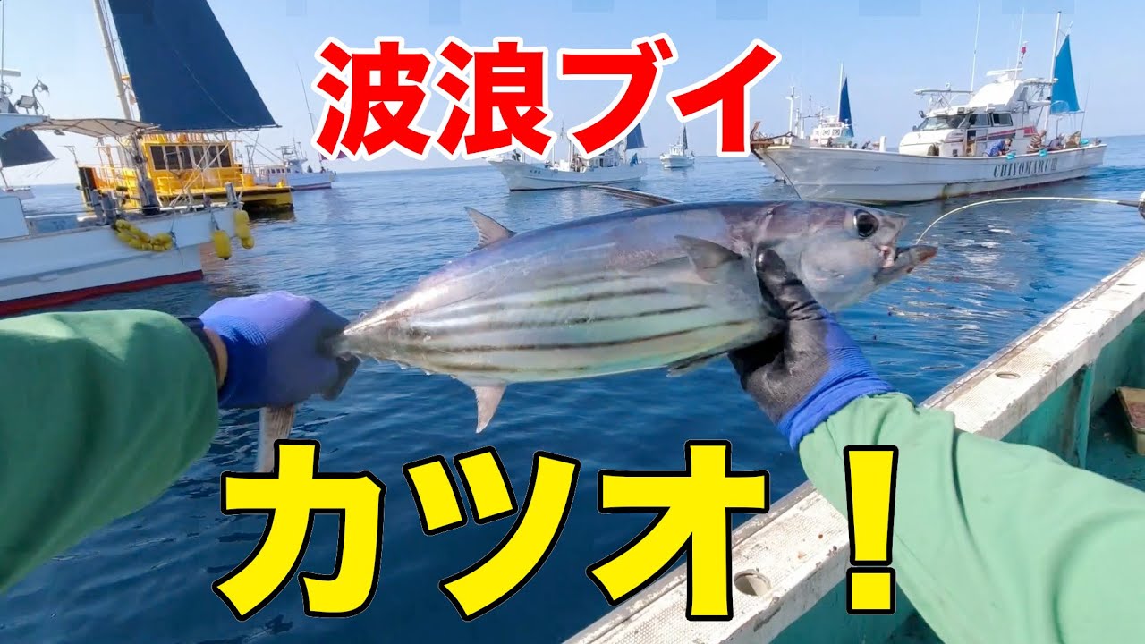 初心者がカツオ釣りをやってみた・・・【白浜沖波浪ブイ】