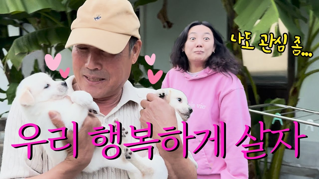 시골에 계신 아빠 몰래 새끼 강아지들을 데리고 갔습니다ㅋㅋㅋㅋㅋㅋ좋아 죽네ㅋㅋㅋㅋㅋㅋ