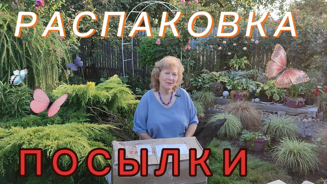 Из питомника 