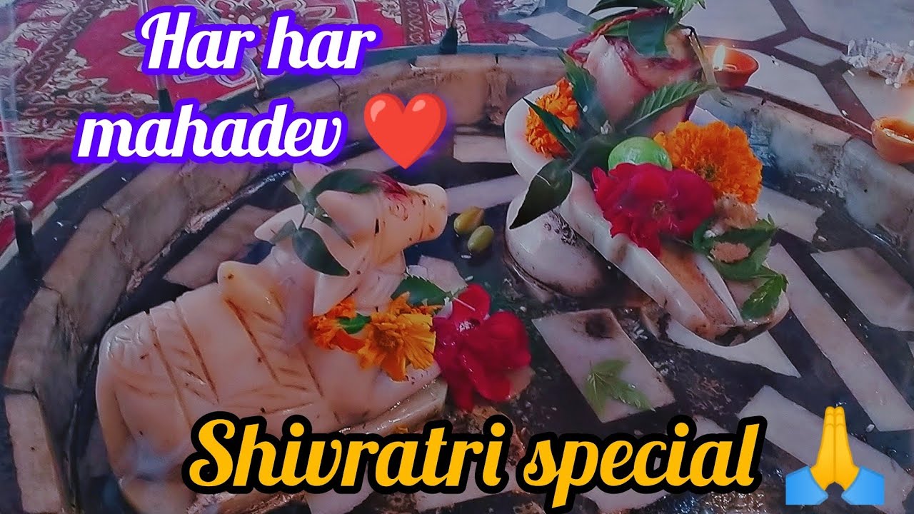 🙏 SHIVRATRI SPECIAL 🙏 VLOG! Har Har Mhadev 📿❤️l#mhashivratri #viral 