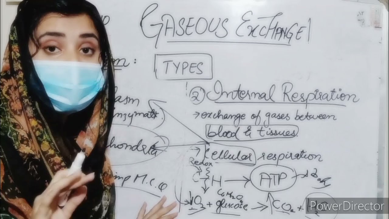 Gaseous Exchange in Humans | 10th Class | Biology | Chapter 1 | Lec.01 | Haytham Academy
