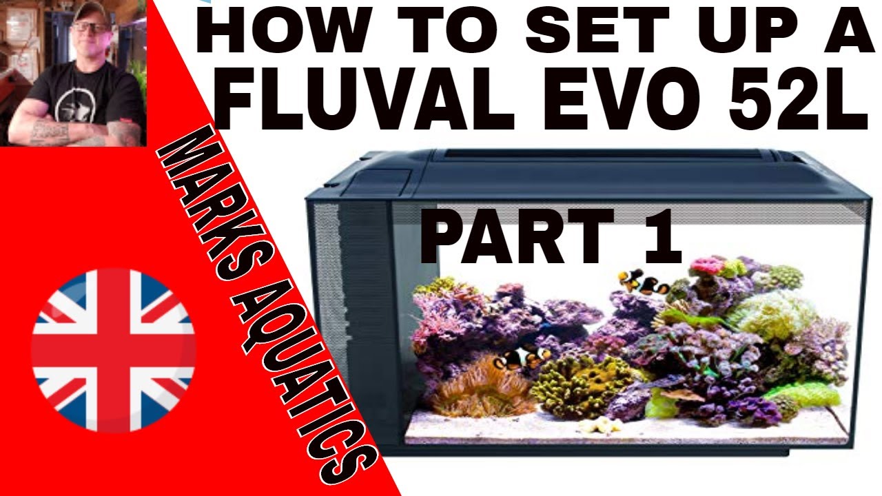 How To Set Up a Nano Reef Tank