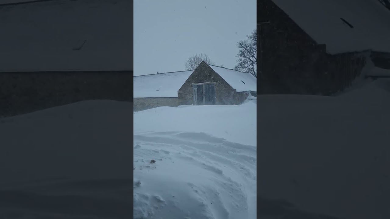 4th Jan 2026 Sunshine To Blizzard 