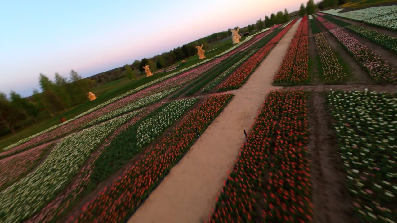 Один в Добропарку / FPV Freestyle