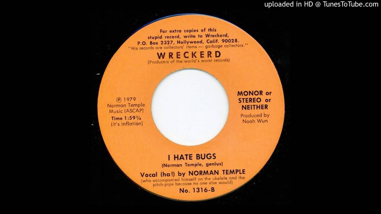 Norman Temple - I Hate Bugs
