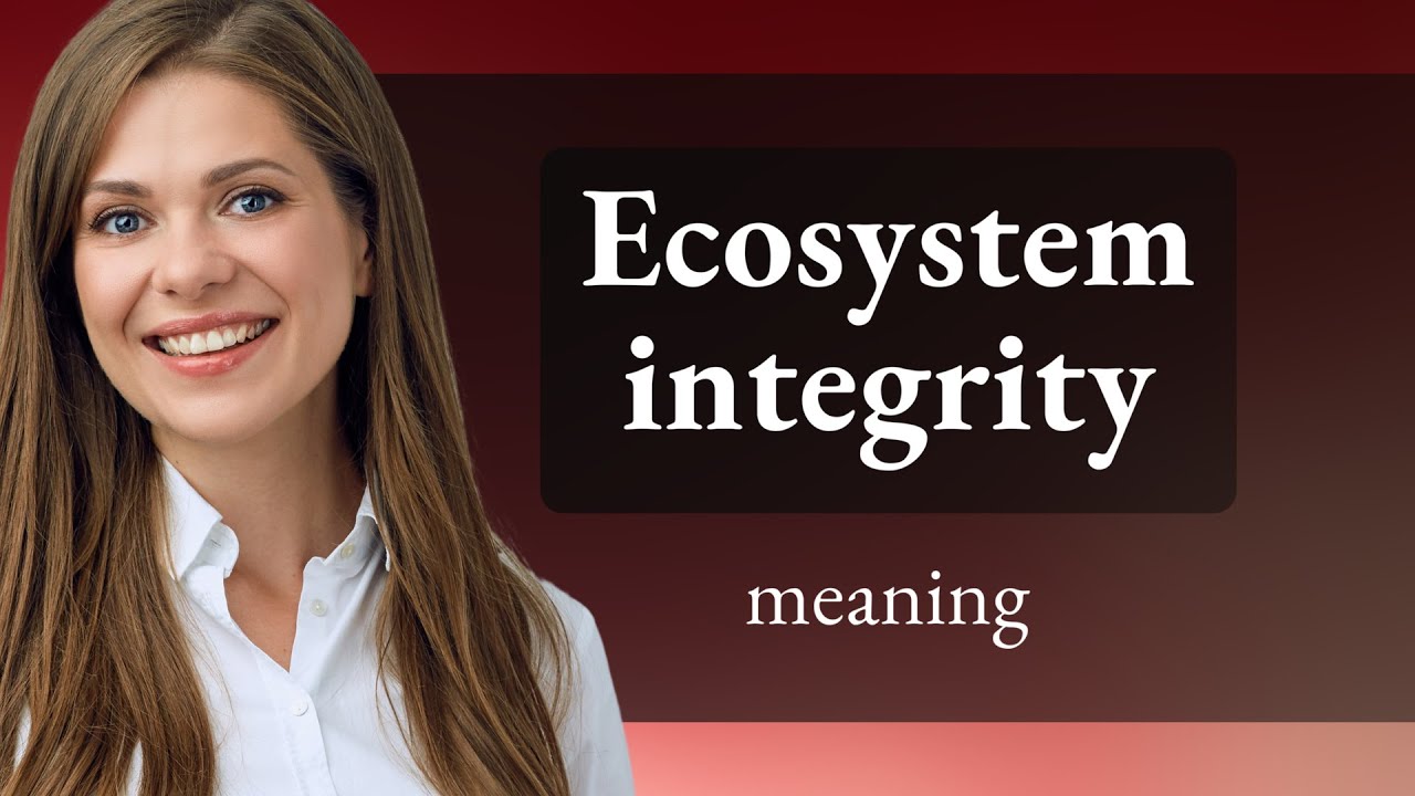 Understanding Ecosystem Integrity: A Key to Environmental Health