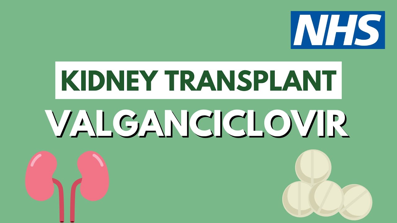 Valganciclovir after a kidney transplant | UHL NHS Trust